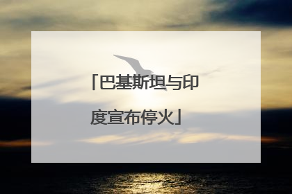 巴基斯坦与印度宣布停火