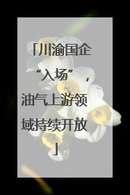 川渝国企“入场”，油气上游领域持续开放