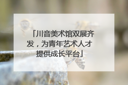 川音美术馆双展齐发，为青年艺术人才提供成长平台