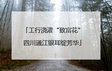 工行浇灌“致富花” 四川通江银耳绽芳华