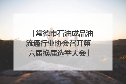 常德市石油成品油流通行业协会召开第六届换届选举大会