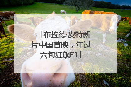 布拉德·皮特新片中国首映，年过六旬狂飙F1