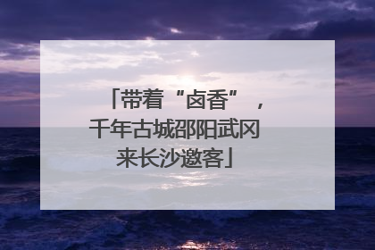 带着“卤香”，千年古城邵阳武冈来长沙邀客