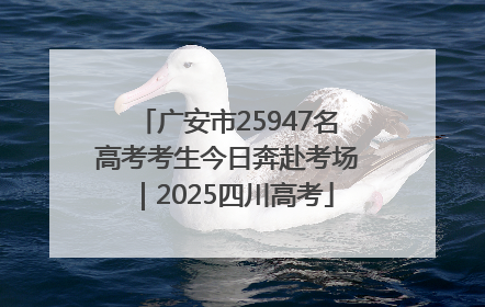 广安市25947名高考考生今日奔赴考场｜2025四川高考