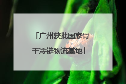 广州获批国家骨干冷链物流基地