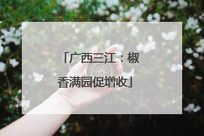 广西三江：椒香满园促增收
