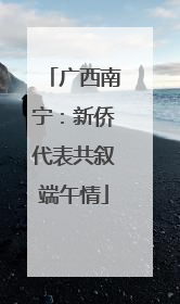 广西南宁：新侨代表共叙端午情