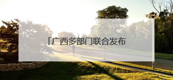 广西多部门联合发布残疾人权益典型案例