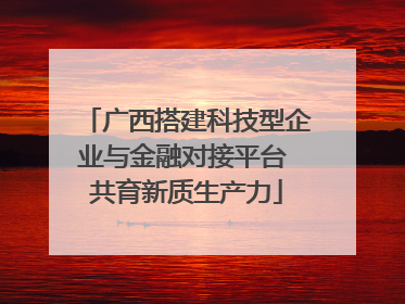 广西搭建科技型企业与金融对接平台 共育新质生产力