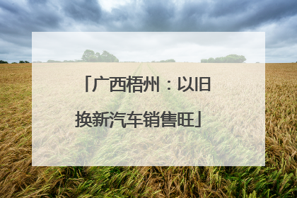 广西梧州：以旧换新汽车销售旺