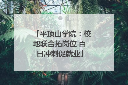 平顶山学院：校地联合拓岗位 百日冲刺促就业