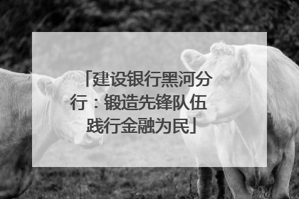 建设银行黑河分行：锻造先锋队伍 践行金融为民