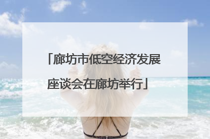 廊坊市低空经济发展座谈会在廊坊举行