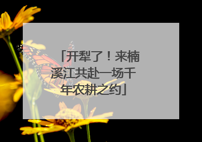开犁了！来楠溪江共赴一场千年农耕之约
