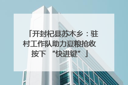 开封杞县苏木乡：驻村工作队助力夏粮抢收按下 “快进键”