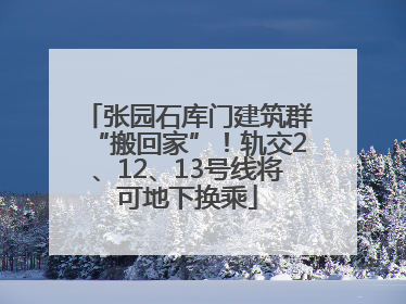 张园石库门建筑群“搬回家”！轨交2、12、13号线将可地下换乘