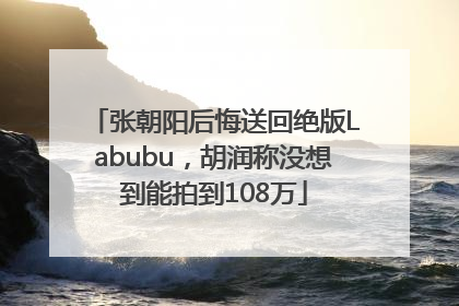 张朝阳后悔送回绝版Labubu，胡润称没想到能拍到108万