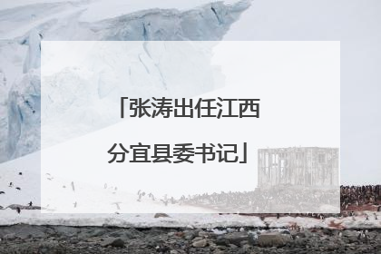 张涛出任江西分宜县委书记