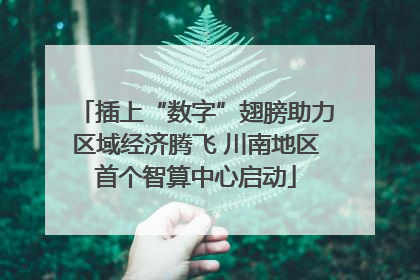 插上“数字”翅膀助力区域经济腾飞 川南地区首个智算中心启动