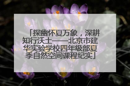 探幽怀夏万象，深耕知行沃土——北京市建华实验学校四年级部夏季自然空间课程纪实
