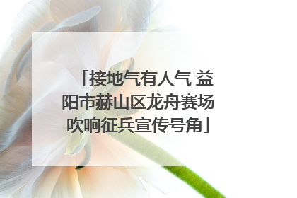 接地气有人气 益阳市赫山区龙舟赛场吹响征兵宣传号角