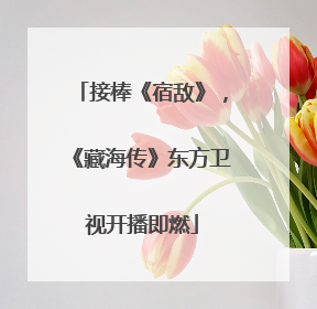 接棒《宿敌》，《藏海传》东方卫视开播即燃