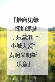 推窗见绿、挥拍逐梦，东营港“小城大爱”奏响文明新乐章