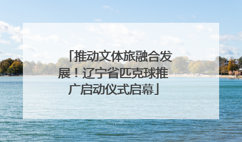 推动文体旅融合发展！辽宁省匹克球推广启动仪式启幕
