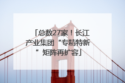 总数27家！长江产业集团“专精特新”矩阵再扩容