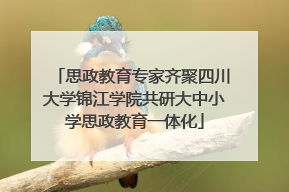 思政教育专家齐聚四川大学锦江学院共研大中小学思政教育一体化