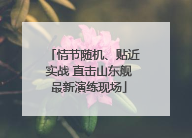 情节随机、贴近实战 直击山东舰最新演练现场