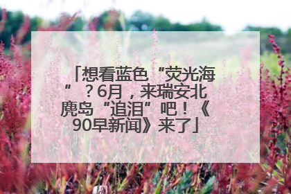 想看蓝色“荧光海”？6月，来瑞安北麂岛“追泪”吧！《90早新闻》来了