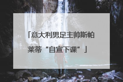 意大利男足主帅斯帕莱蒂“自宣下课”