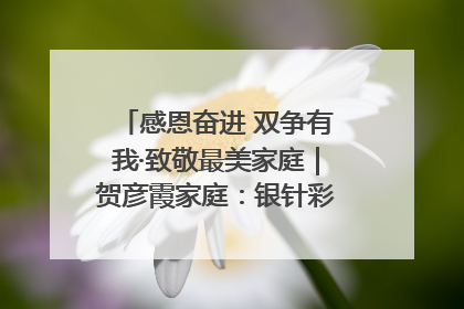 感恩奋进 双争有我·致敬最美家庭｜贺彦霞家庭：银针彩线绣出好日子