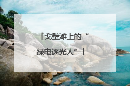 戈壁滩上的“绿电逐光人”