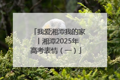 我爱湘潭我的家丨湘潭2025年高考表情（一）