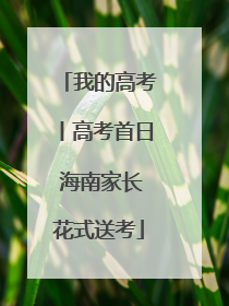 我的高考丨高考首日 海南家长花式送考