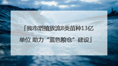 我市增殖放流8类苗种13亿单位 助力“蓝色粮仓”建设