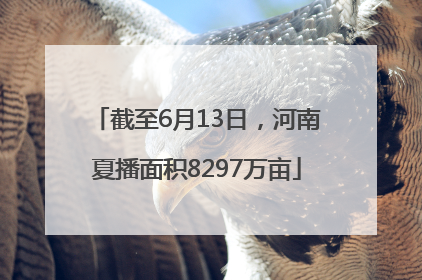 截至6月13日，河南夏播面积8297万亩