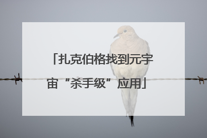扎克伯格找到元宇宙“杀手级”应用