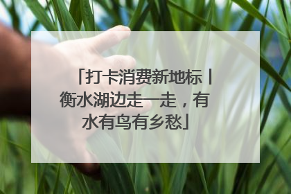 打卡消费新地标丨衡水湖边走一走，有水有鸟有乡愁