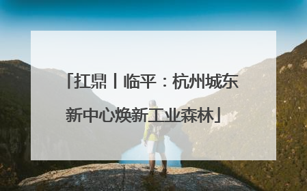 扛鼎丨临平：杭州城东新中心焕新工业森林