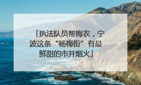 执法队员帮梅农，宁波这条“杨梅街”有最鲜甜的市井烟火