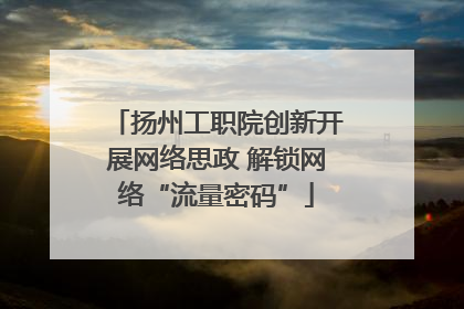 扬州工职院创新开展网络思政 解锁网络“流量密码”