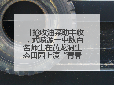 抢收油菜助丰收，武陵源一中数百名师生在黄龙洞生态田园上演“青春助农记”