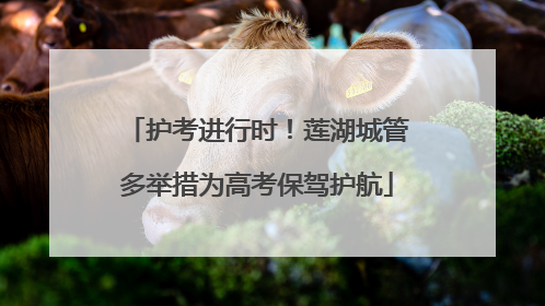护考进行时！莲湖城管多举措为高考保驾护航