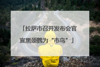 拉萨市召开发布会官宣黑颈鹤为“市鸟”