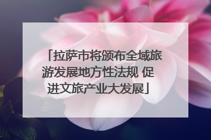 拉萨市将颁布全域旅游发展地方性法规 促进文旅产业大发展