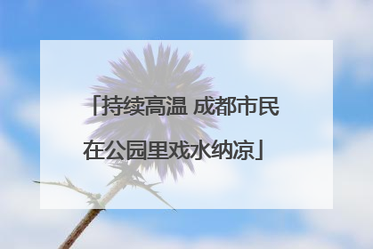 持续高温 成都市民在公园里戏水纳凉
