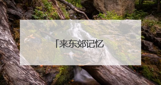 来东郊记忆 看旅行蛙蛙